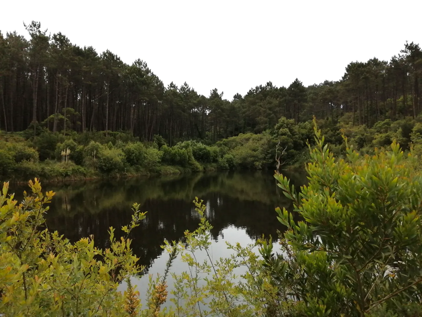 Vereda do Silêncio Bravio