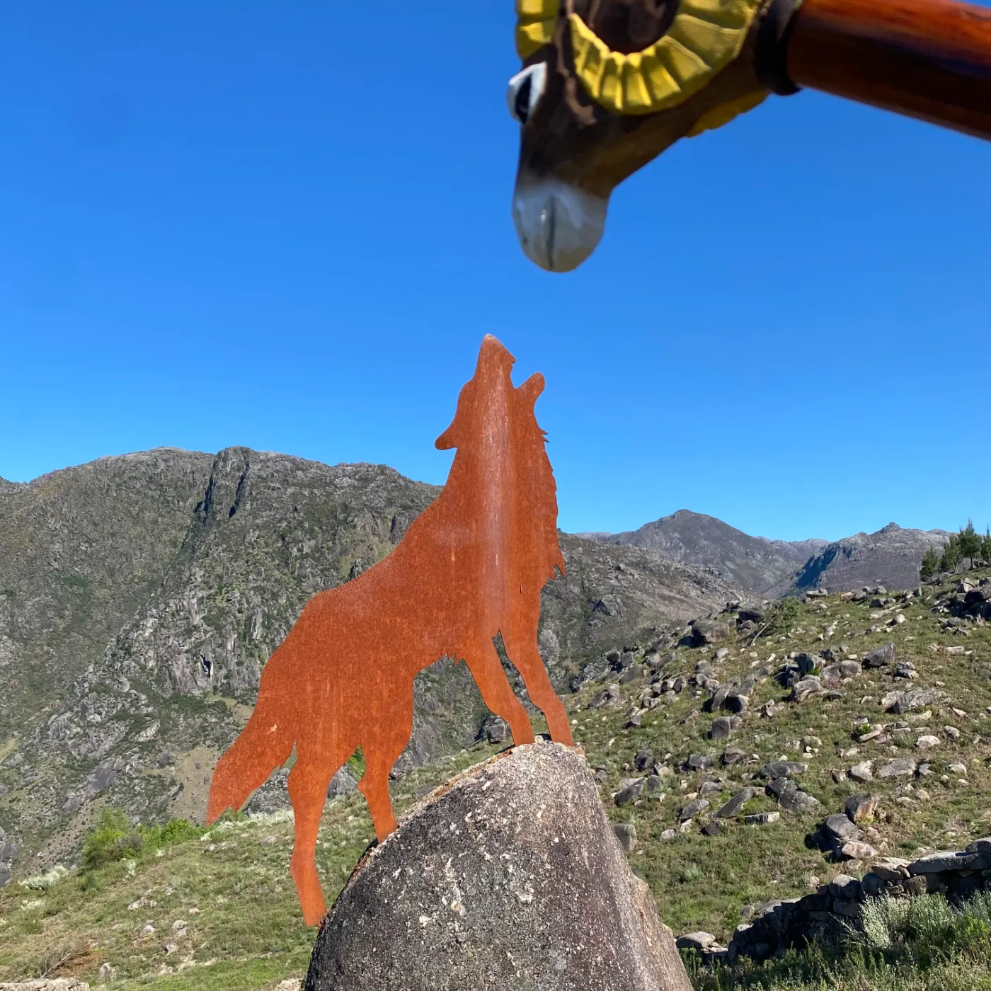 Horizonte Selvagem ( 3ª Edição )