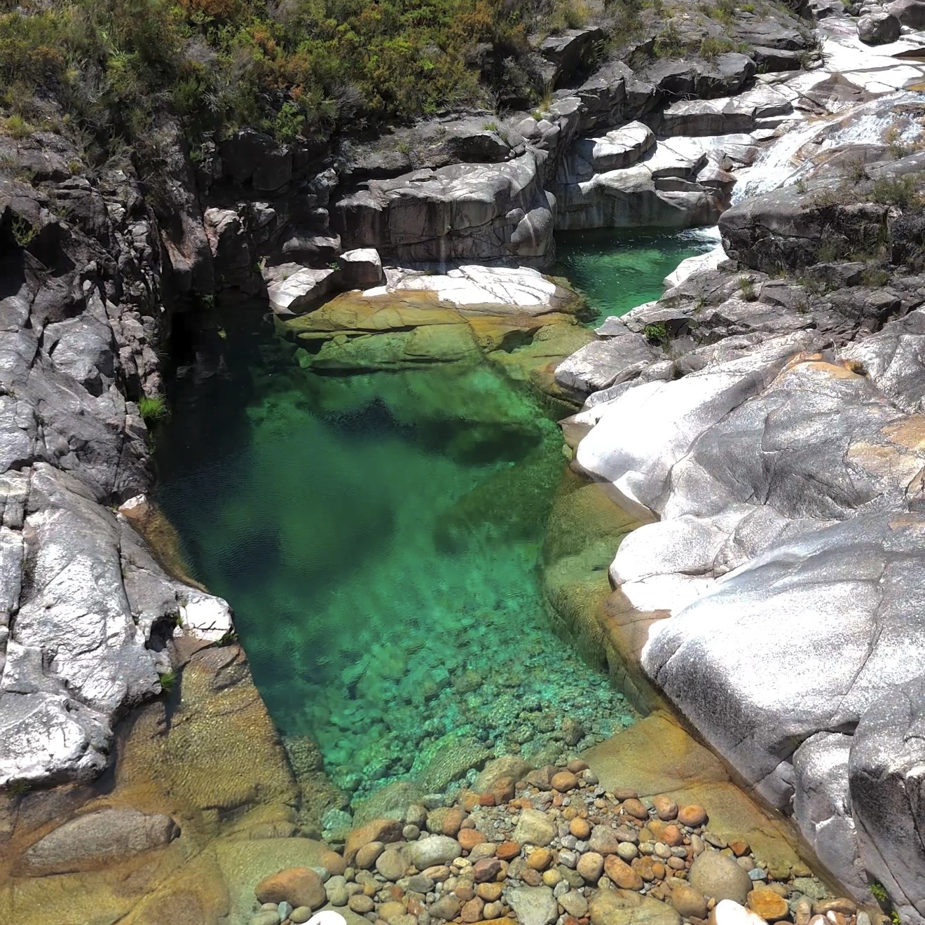 Touça Selvagem — Escorrega Natural