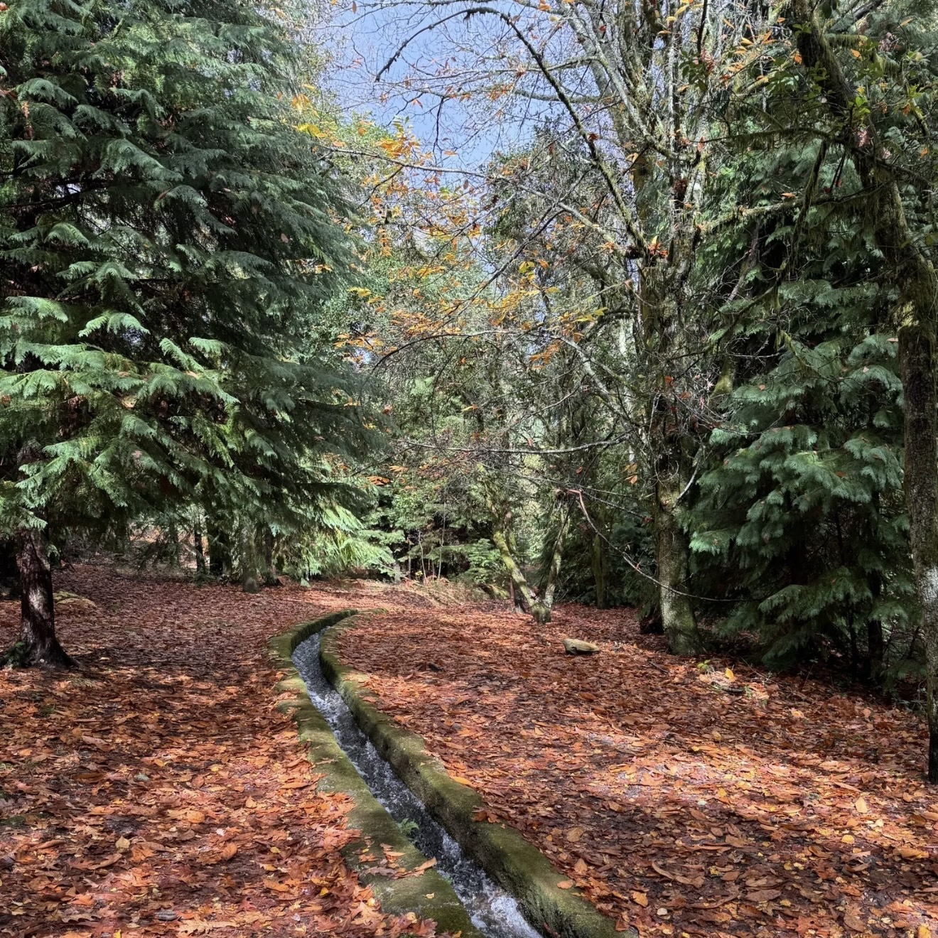 Entre Trilhos e Natureza