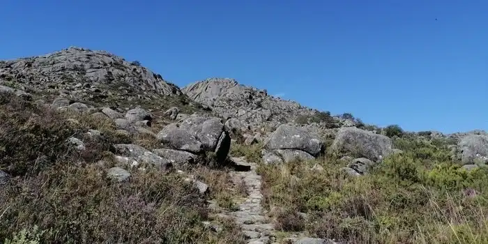 faldas da penameda faldas da penameda